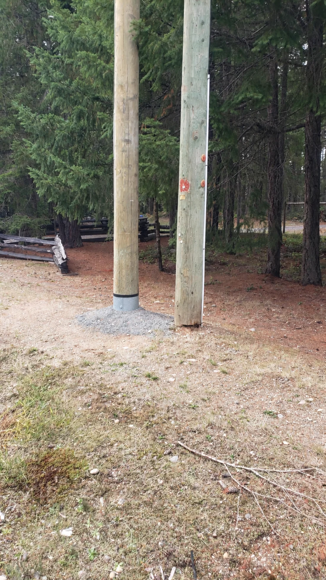 Two installed utility poles, one protected by Pole Boot and one showing ground-line decay